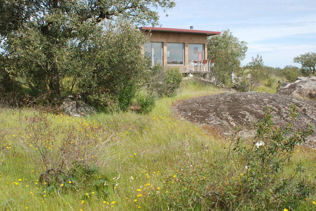 Bubulcus And Bolotas - Off Grid Nature Holiday Home Vimieiro  Екстериор снимка